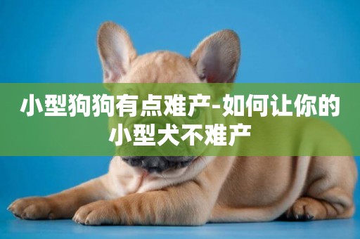 小型狗狗有點難產-如何讓你的小型犬不難產