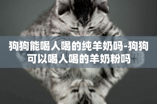 狗狗能喝人喝的純羊奶嗎-狗狗可以喝人喝的羊奶粉嗎