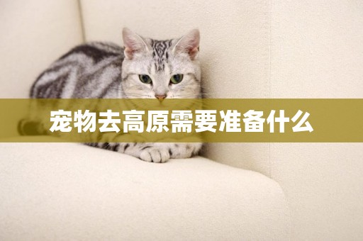 寵物去高原需要準備什么