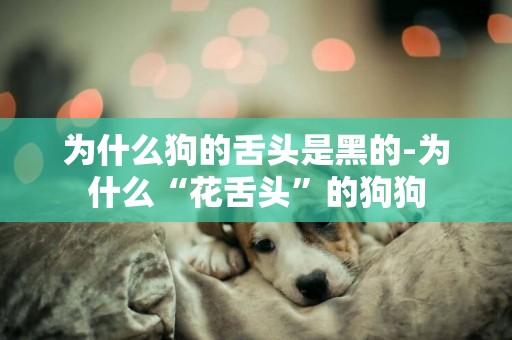 為什么狗的舌頭是黑的-為什么“花舌頭”的狗狗