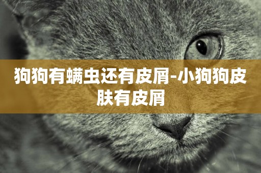 狗狗有螨蟲還有皮屑-小狗狗皮膚有皮屑