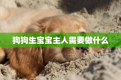 狗狗生寶寶主人需要做什么
