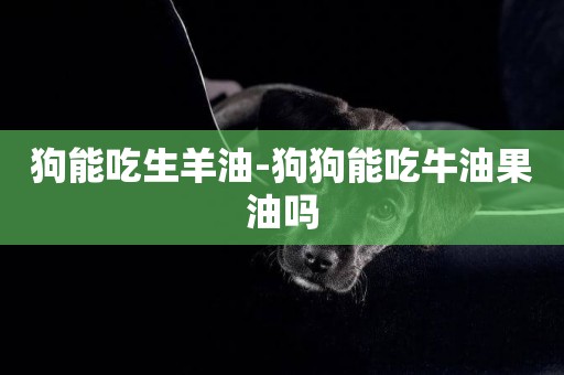 狗能吃生羊油-狗狗能吃牛油果油嗎