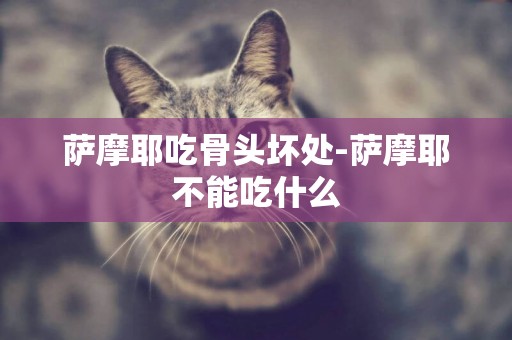 薩摩耶吃骨頭壞處-薩摩耶不能吃什么