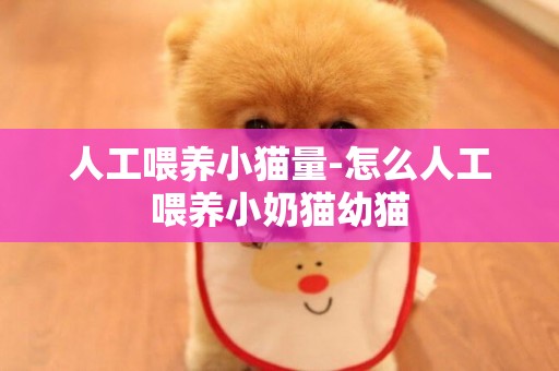 人工喂養小貓量-怎么人工喂養小奶貓幼貓