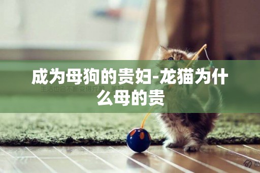 成為母狗的貴婦-龍貓為什么母的貴