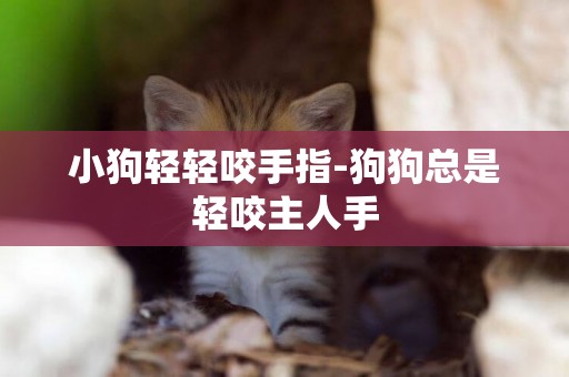 小狗輕輕咬手指-狗狗總是輕咬主人手