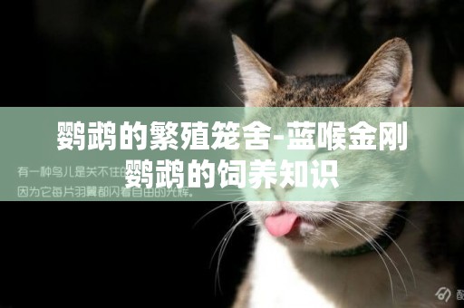 鸚鵡的繁殖籠舍-藍喉金剛鸚鵡的飼養知識