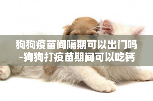 狗狗疫苗間隔期可以出門嗎-狗狗打疫苗期間可以吃鈣片嗎
