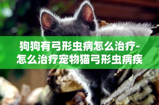 狗狗有弓形蟲病怎么治療-怎么治療寵物貓弓形蟲病疾病