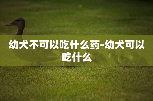 幼犬不可以吃什么藥-幼犬可以吃什么