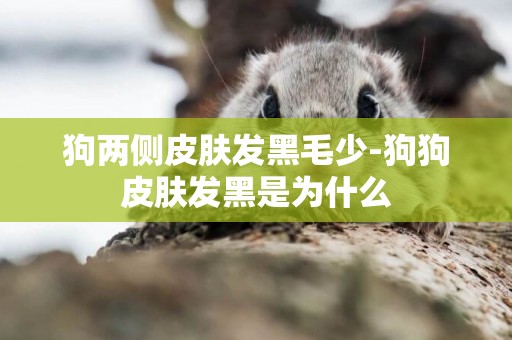 狗兩側皮膚發黑毛少-狗狗皮膚發黑是為什么