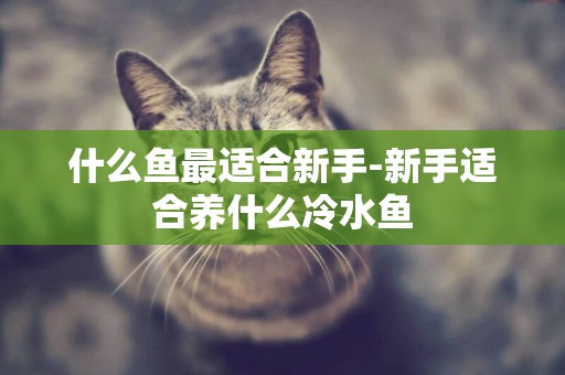 什么魚最適合新手-新手適合養什么冷水魚