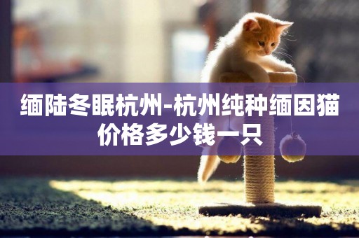 緬陸冬眠杭州-杭州純種緬因貓價格多少錢一只