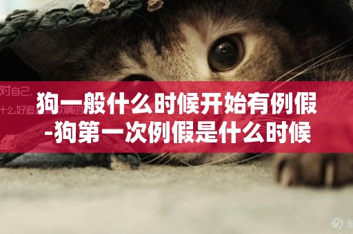 狗一般什么時候開始有例假-狗第一次例假是什么時候