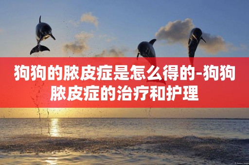 狗狗的膿皮癥是怎么得的-狗狗膿皮癥的治療和護理