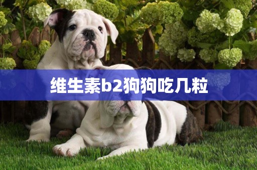 維生素b2狗狗吃幾粒