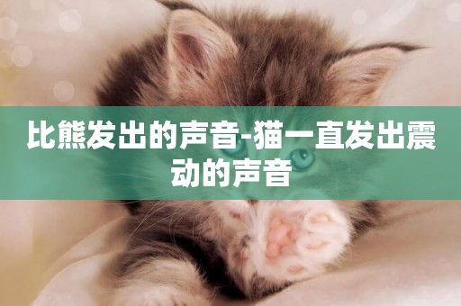 比熊發出的聲音-貓一直發出震動的聲音