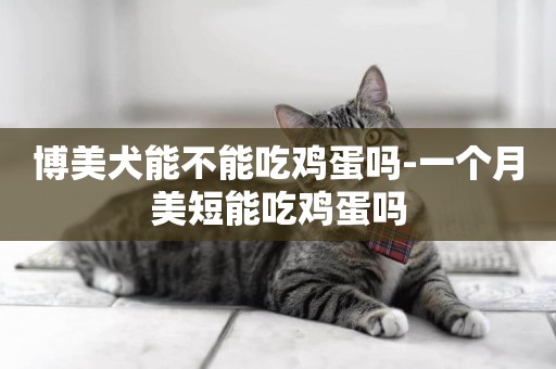 博美犬能不能吃雞蛋嗎-一個月美短能吃雞蛋嗎