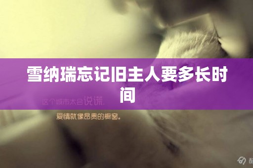 雪納瑞忘記舊主人要多長時間