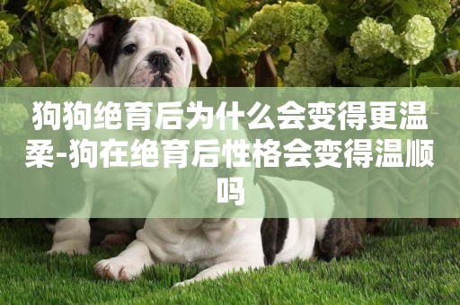 狗狗絕育后為什么會變得更溫柔-狗在絕育后性格會變得溫順嗎