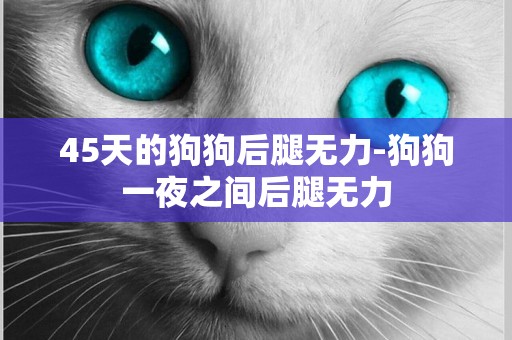 45天的狗狗后腿無力-狗狗一夜之間后腿無力