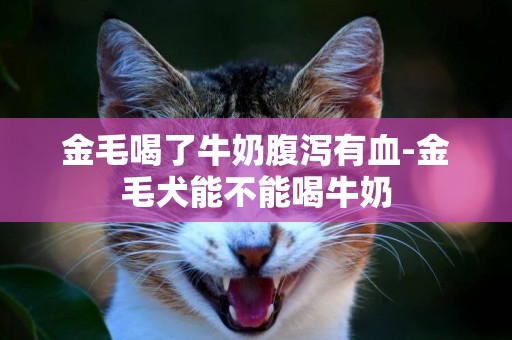 金毛喝了牛奶腹瀉有血-金毛犬能不能喝牛奶