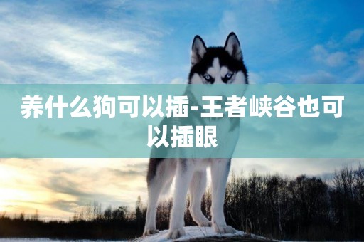 養什么狗可以插-王者峽谷也可以插眼