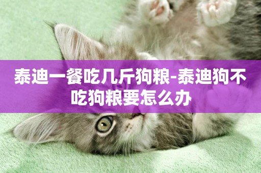泰迪一餐吃幾斤狗糧-泰迪狗不吃狗糧要怎么辦