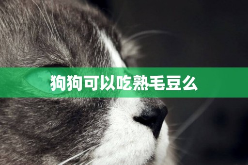 狗狗可以吃熟毛豆么
