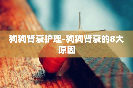 狗狗腎衰護理-狗狗腎衰的8大原因