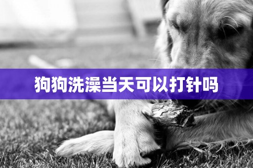 狗狗洗澡當天可以打針嗎
