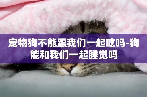 寵物狗不能跟我們一起吃嗎-狗能和我們一起睡覺嗎