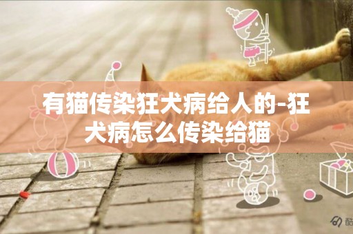 有貓傳染狂犬病給人的-狂犬病怎么傳染給貓
