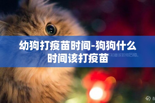 幼狗打疫苗時間-狗狗什么時間該打疫苗