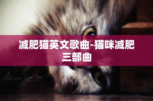 減肥貓英文歌曲-貓咪減肥三部曲