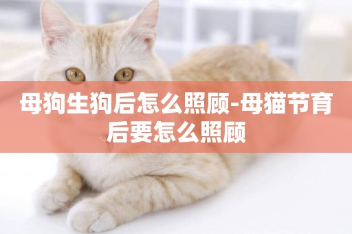 母狗生狗后怎么照顧-母貓節育后要怎么照顧