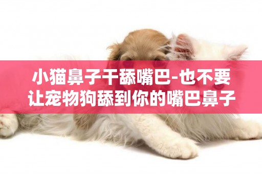 小貓鼻子干舔嘴巴-也不要讓寵物狗舔到你的嘴巴鼻子