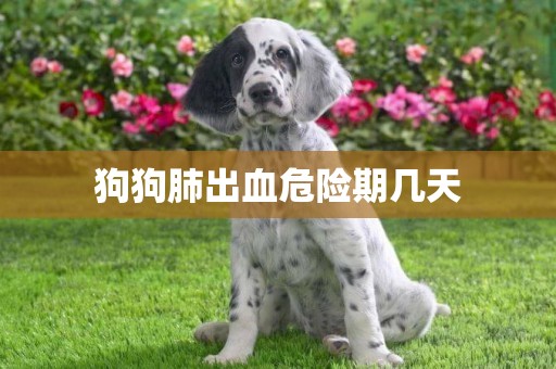 狗狗肺出血危險期幾天