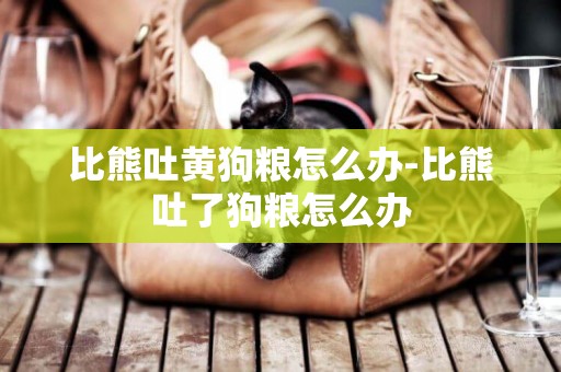 比熊吐黃狗糧怎么辦-比熊吐了狗糧怎么辦