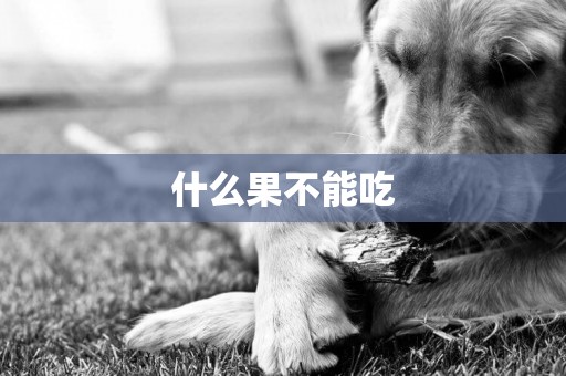 什么果不能吃