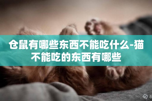 倉鼠有哪些東西不能吃什么-貓不能吃的東西有哪些