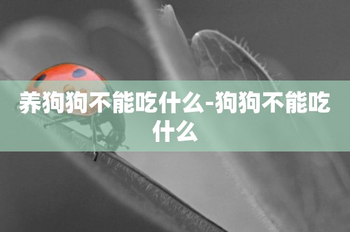 養狗狗不能吃什么-狗狗不能吃什么