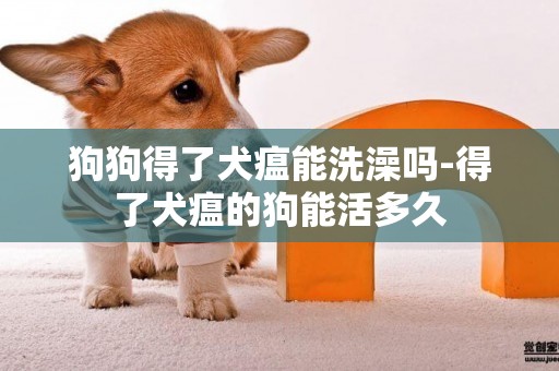 狗狗得了犬瘟能洗澡嗎-得了犬瘟的狗能活多久