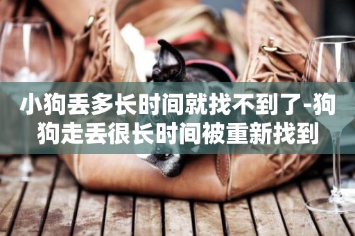 小狗丟多長時間就找不到了-狗狗走丟很長時間被重新找到