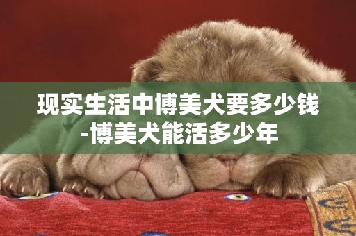 現實生活中博美犬要多少錢-博美犬能活多少年