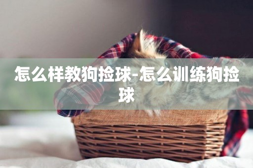 怎么樣教狗撿球-怎么訓練狗撿球