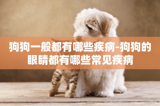 狗狗一般都有哪些疾病-狗狗的眼睛都有哪些常見疾病