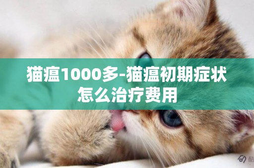 貓瘟1000多-貓瘟初期癥狀怎么治療費用