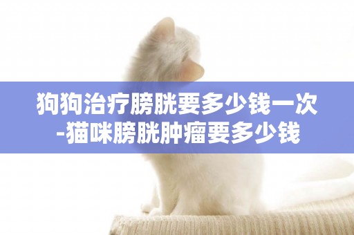 狗狗治療膀胱要多少錢一次-貓咪膀胱腫瘤要多少錢